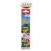 Карандаши цветные 6 шт. Attomex  Zoo, М, деревянные, шестигранные, в картонной упаковке, 5021810 Atto